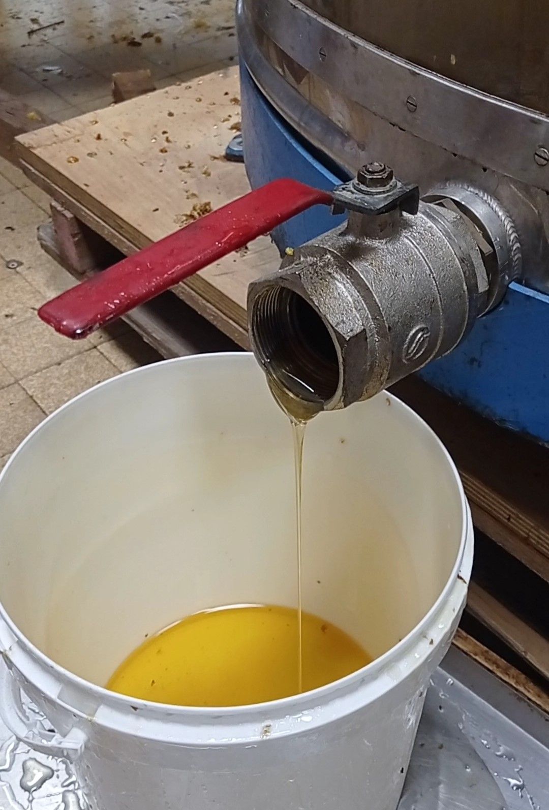 Récolte de miel