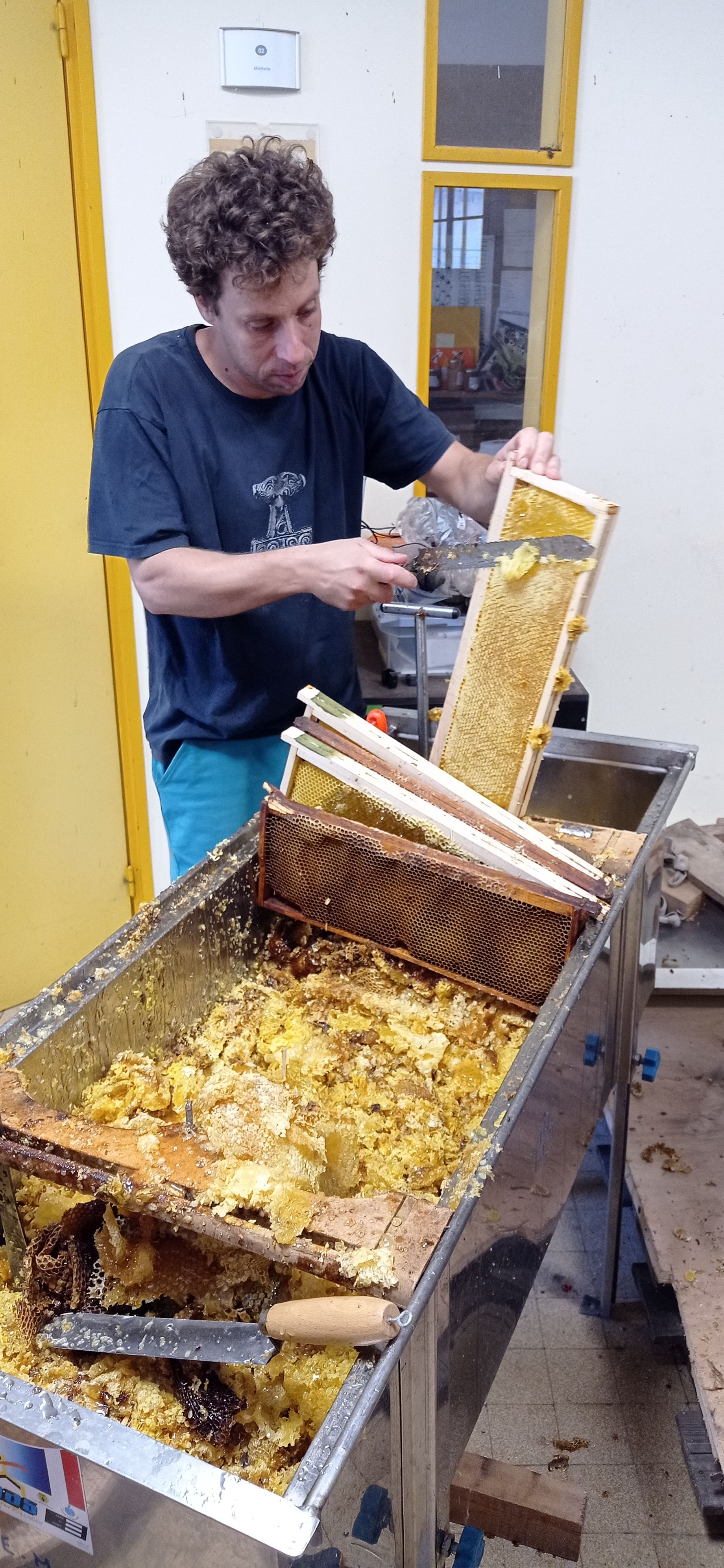 Récolte de miel